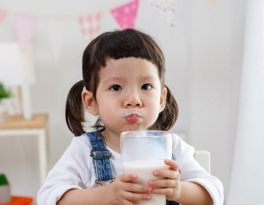 Mẹ nên cho trẻ 5 tuổi uống sữa bột gì để con phát triển trí não và tăng cân vù vù?