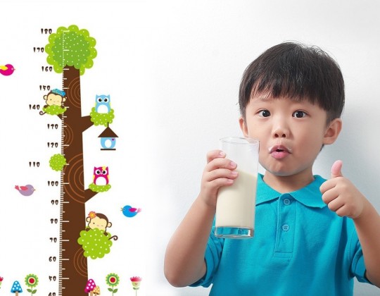 Nguyên lý chọn sữa bột cho trẻ 4 tuổi tăng chiều cao vượt trội so với bạn bè đồng trang lứa: Mẹ nhất định phải biết