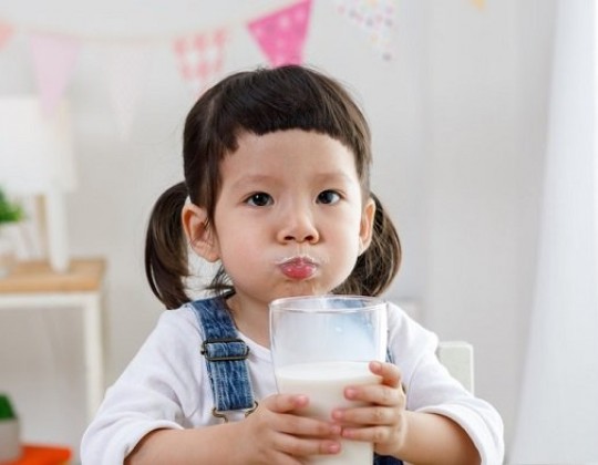 Sữa giúp bé tăng cân và phát triển trí não trong giai đoạn từ 1-3 tuổi: Loại nào tốt nhất?