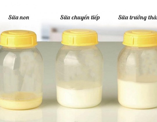 Những điều cần biết về sữa non cho bé mới sinh