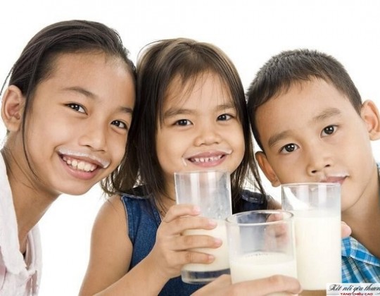 Đâu là sữa phát triển trí não cho bé 8 tuổi tốt nhất trên thị trường hiện nay