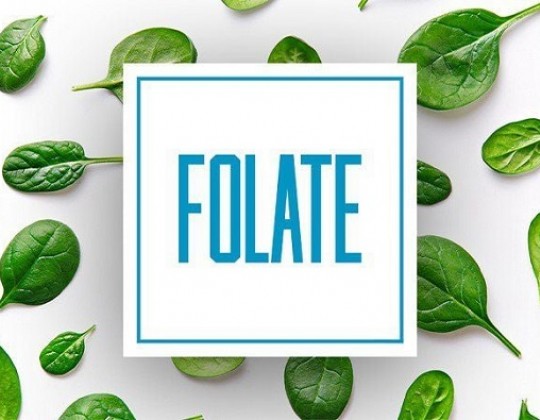 Folate là gì? Folate có trong thực phẩm nào?