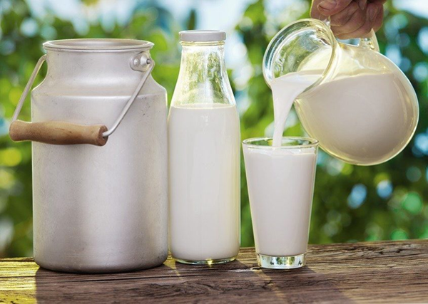 Sữa bầu Úc – cung cấp nguồn dinh dưỡng chất lượng cao