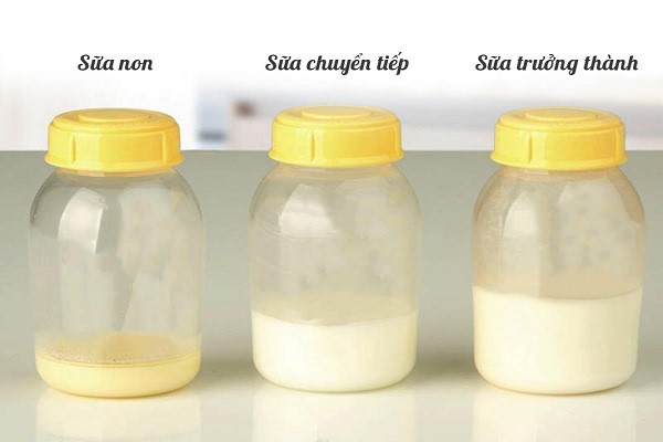  Sữa non có màu vàng và độ sánh đặc trưng