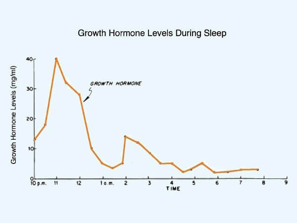 Thời gian hoạt động mạnh nhất của hormone GH là từ 10h đêm đến 3h sáng