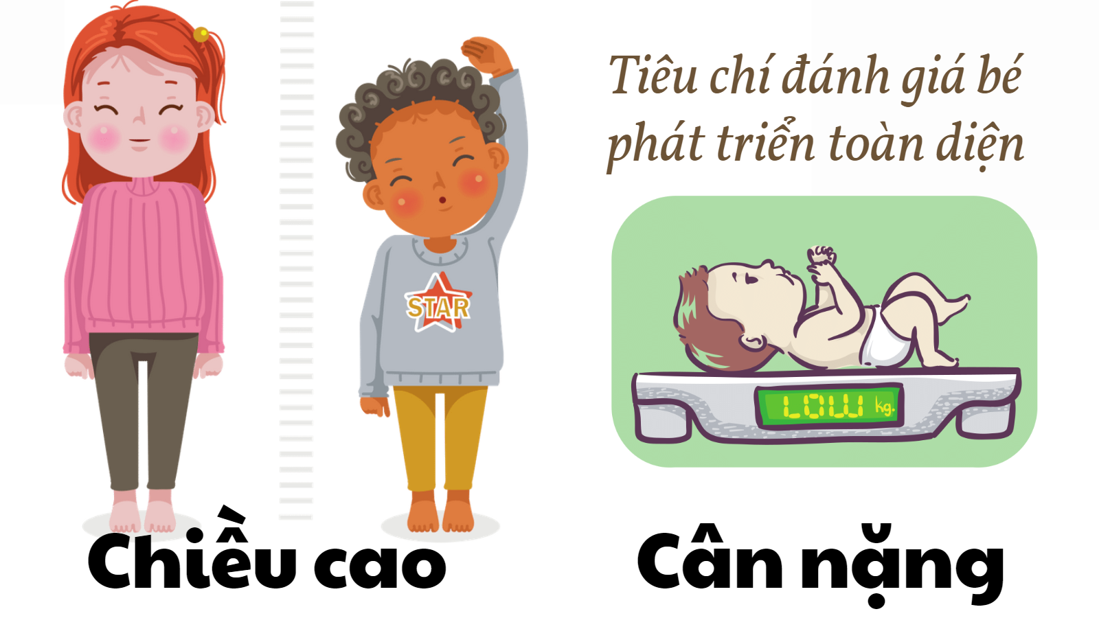 Yếu tố cân nặng và chiều cao