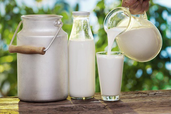 Giá trị dinh dưỡng sữa tươi không đường mang đến cho bà bầu