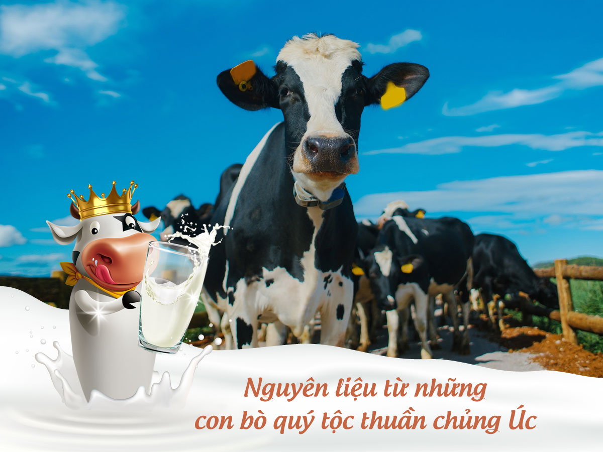 Sữa Hoàng Gia Royal Ausnz có phải là sữa hữu cơ không?