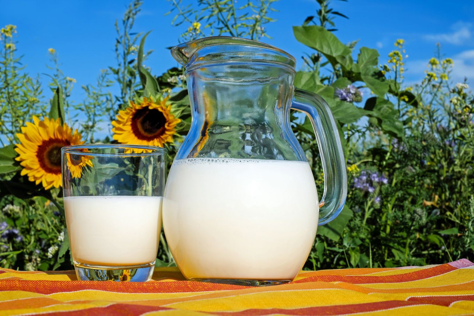 Sữa tươi không đường sữa bầu giúp thai nhi tăng cân nhanh