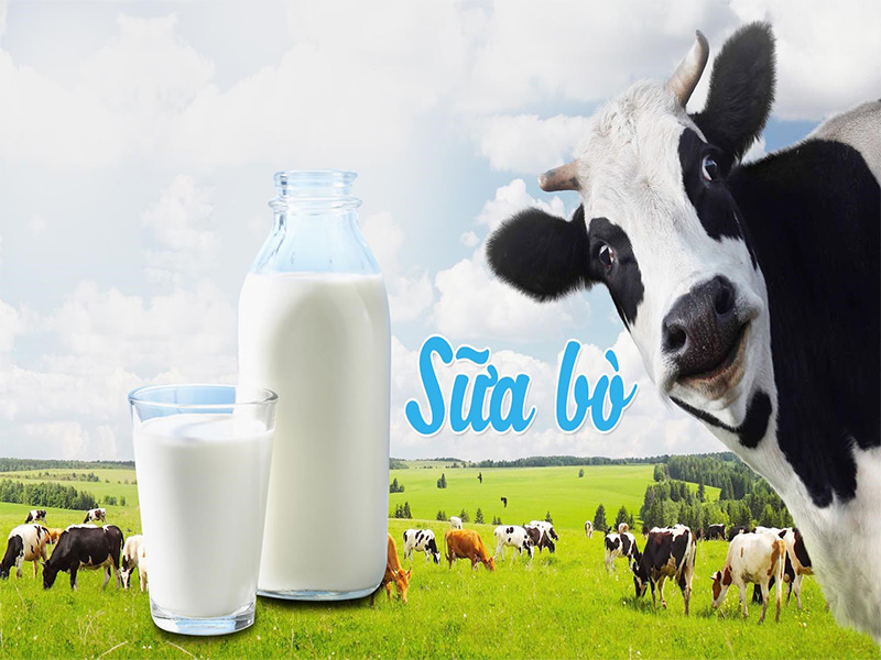Sữa công thức có nguồn gốc từ sữa bò