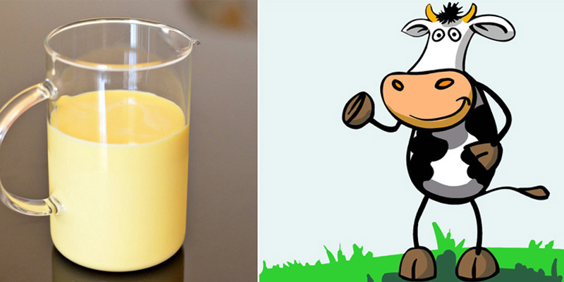 Sữa non từ bò được đánh giá tốt hơn hẳn