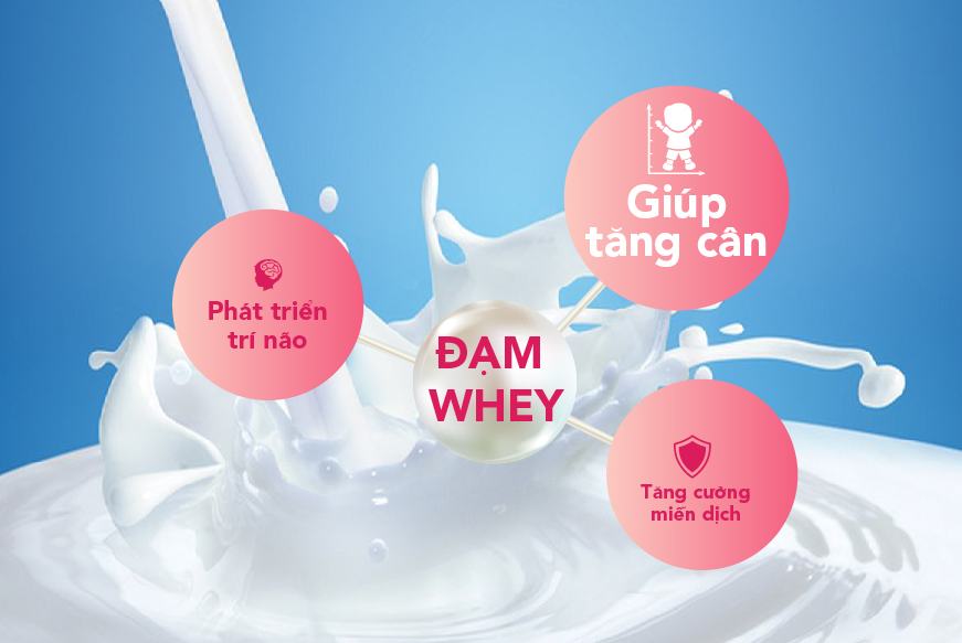 Đạm Whey là loại đạm thường được sử dụng trong sữa mát