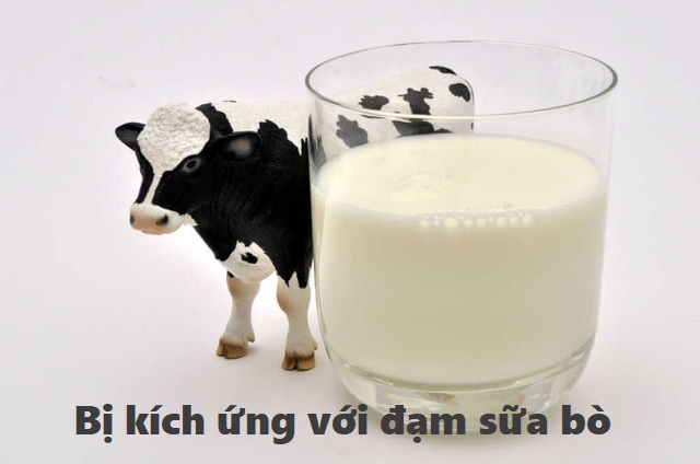 Trong trường hợp nào mẹ nên chọn sữa dê cho bé dưới 1 tuổi thay vì sữa bò?